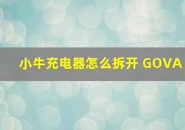 小牛充电器怎么拆开 GOVA